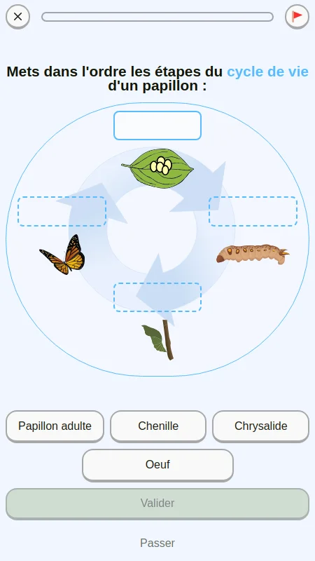 Capture d'écran d'un exercice sur le cycle de vie du papillon
